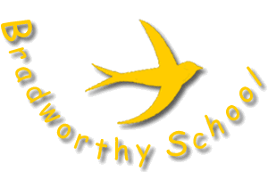 Bradworthy Logo
